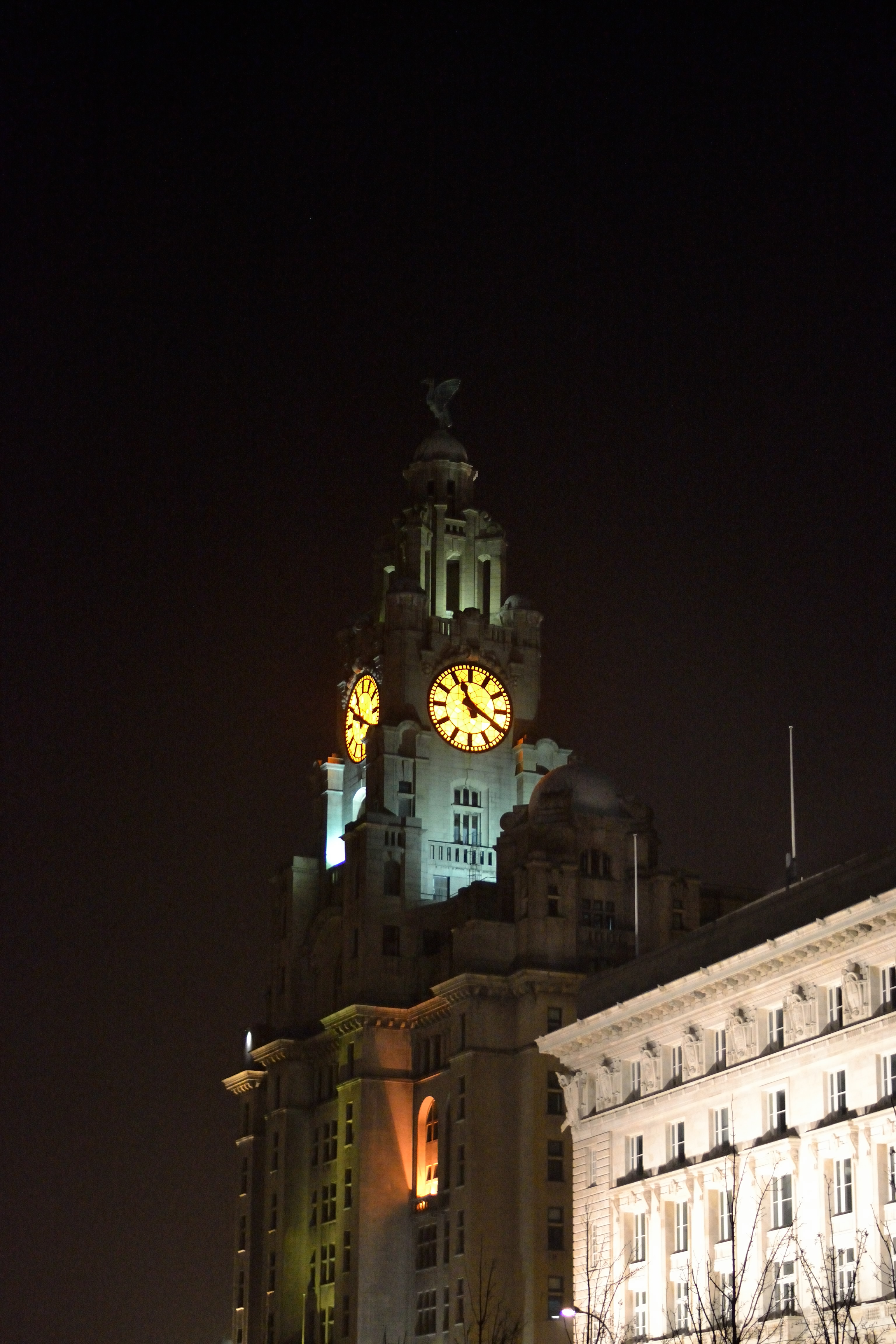 Liver Building - Andy Patton 