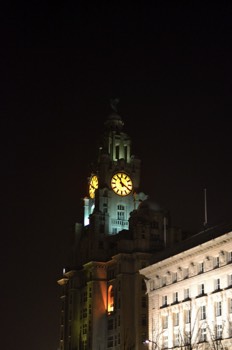  Liver Building - Andy Patton 